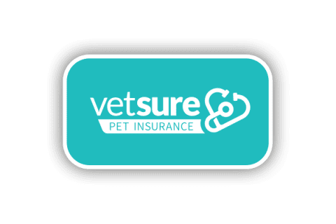 Boroughbridge Vets | Small Animal Practice