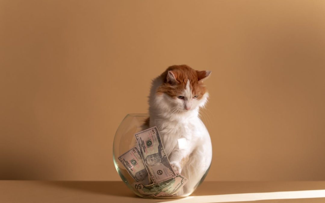 Helpful tips for budgeting for your pet.